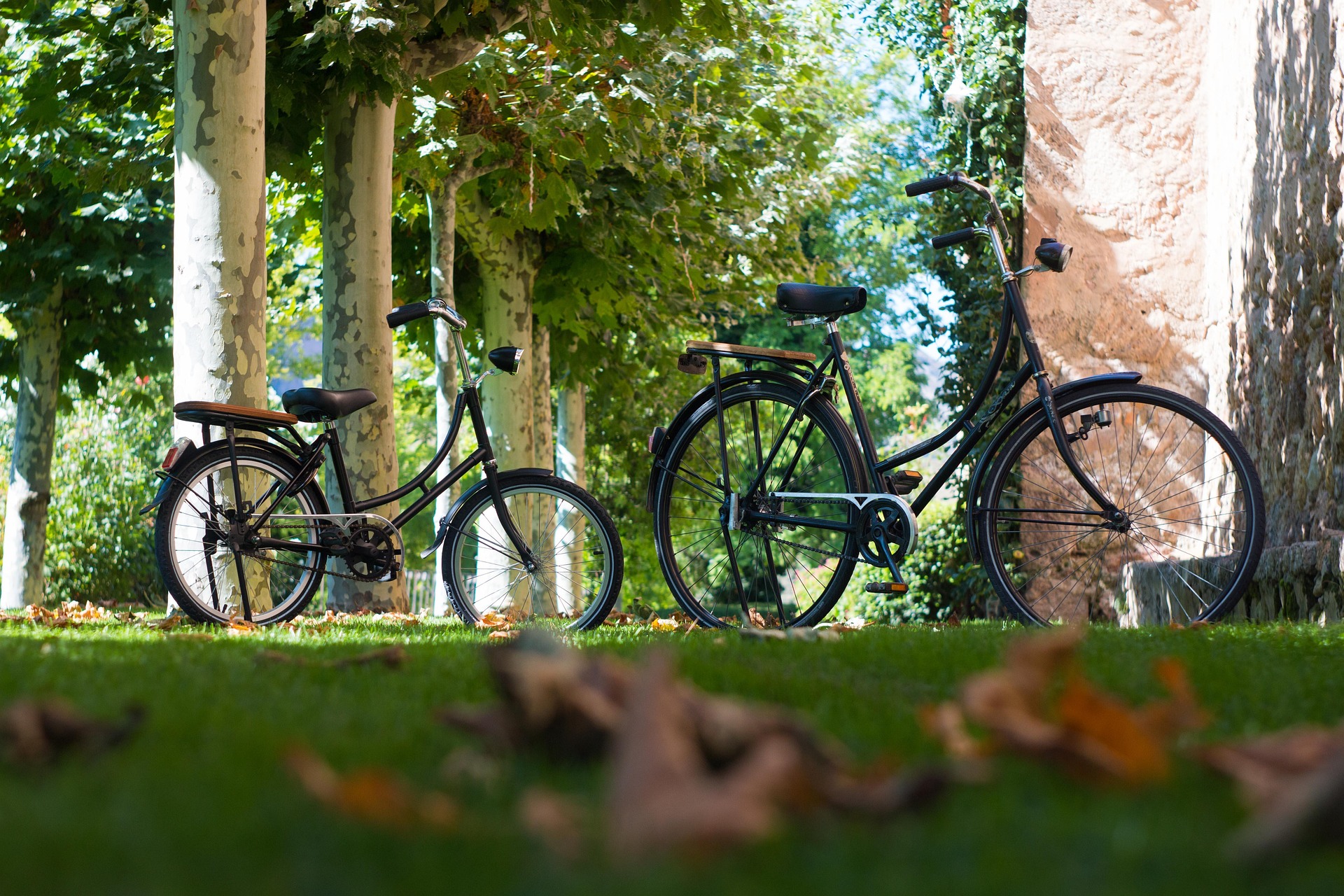Auch mit dem Rad eine Top Adresse - Meyers Hausstelle - Waldcafé in der Rostocker Heide fahrrad-fahren-rostocker-heide